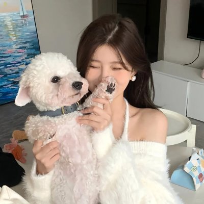 帕洛斯弗迪斯的的部落